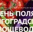 День поля «Волгоградский овощевод» - Кореновский район